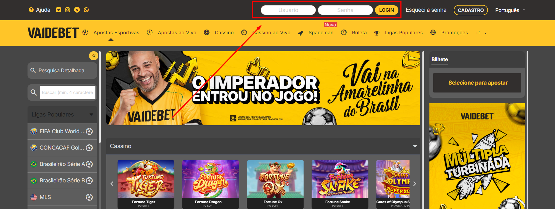 Tela inicial do site Vai de Bet mostrando os campos de login